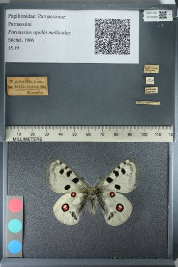 Media type: image;   Entomology 175350